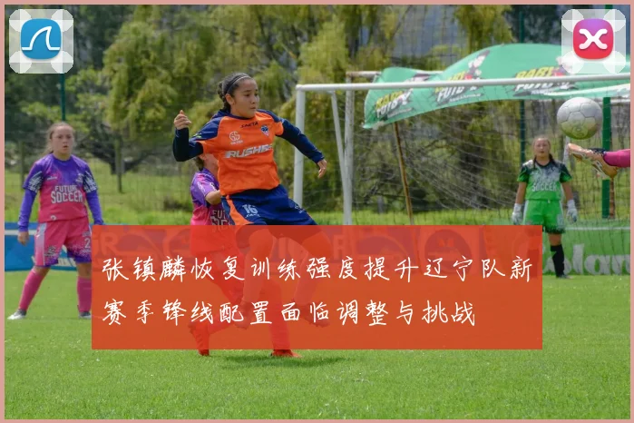 张镇麟恢复训练强度提升辽宁队新赛季锋线配置面临调整与挑战