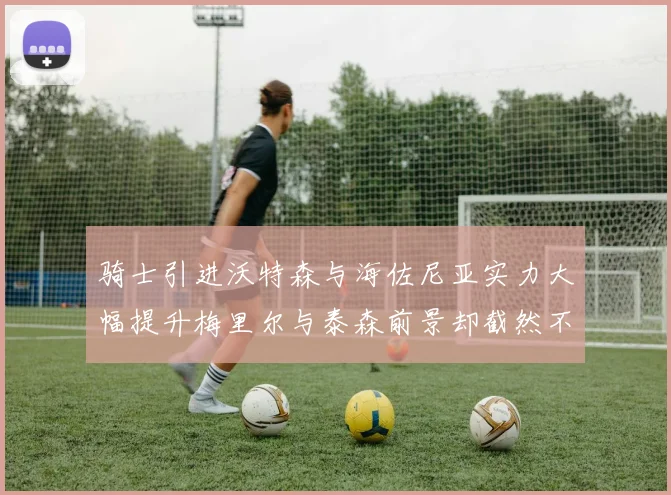骑士引进沃特森与海佐尼亚实力大幅提升梅里尔与泰森前景却截然不同