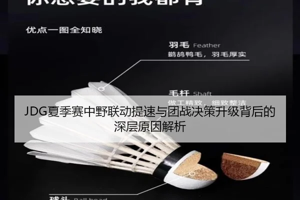 JDG夏季赛中野联动提速与团战决策升级背后的深层原因解析